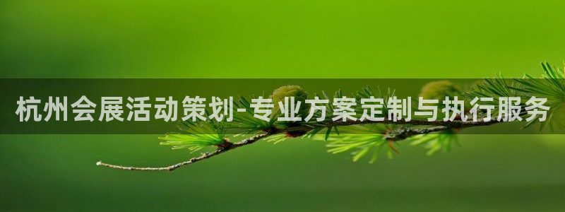 果博管理网：杭州会展活动策划-专业方案定