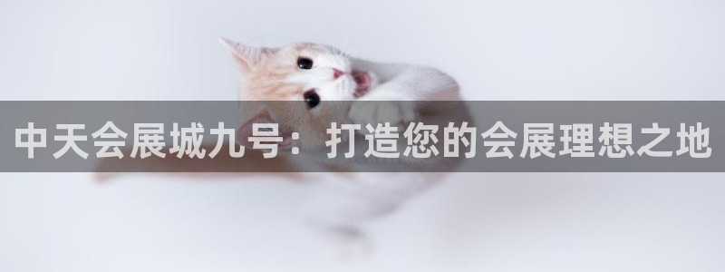 果博手机版下载