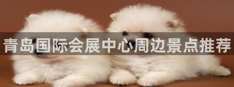 果博手机版官方下载