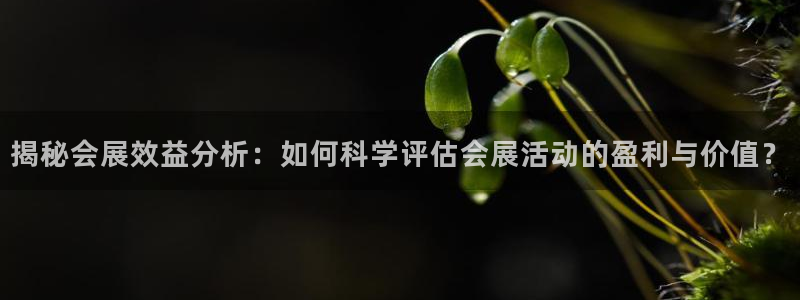 果博公司客服电话：揭秘会展效益分析：如何科学评估会展活动的盈利与价值？
