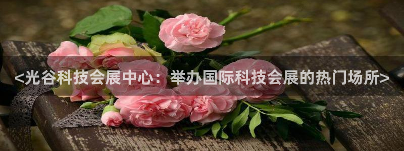 果博公司开户注册：<光谷科技会展中心：举办国际科技会展的热门场所>