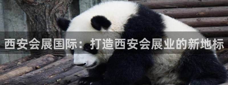 果博平台真实吗安全吗可信吗是真的吗：西安会展国际：打造西安会展业的新地标