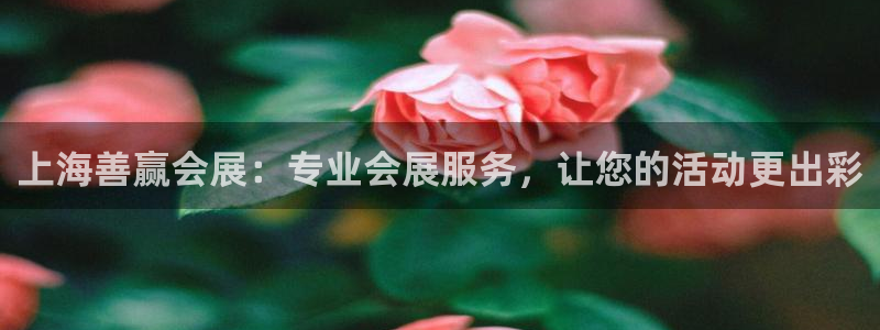 果博公司开户注册：上海善赢会展：专业会展服务，让您的活动更出彩
