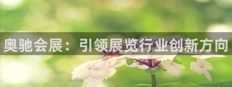 果搏东方客服：奥驰会展：引领展览行业创新方向