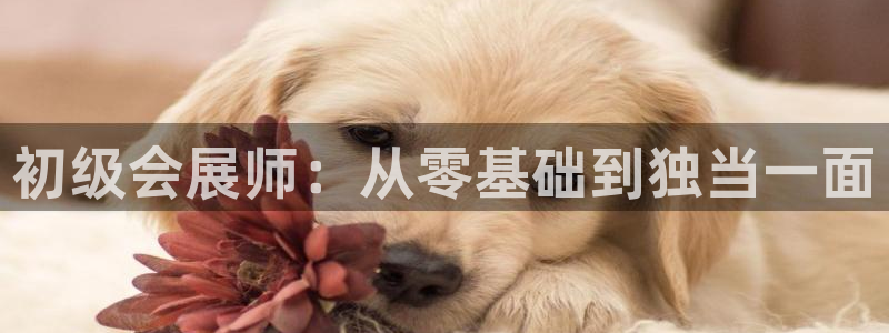 果博注册充值怎么退款：初级会展师：从零基础到独当一面