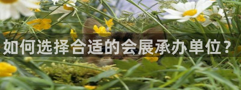 果博平台真实吗安全吗可信吗安全吗：如何选择合适的会展承办单位？