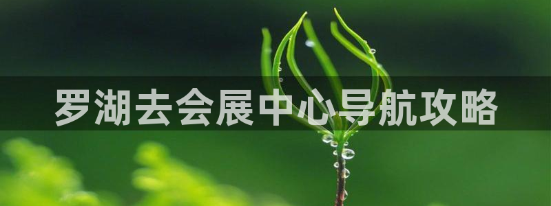 果博注册客服电话号码：罗湖去会展中心导航攻略