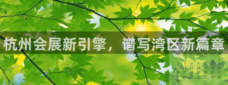 果博注册链接：杭州会展新引擎，谱写湾区新篇章
