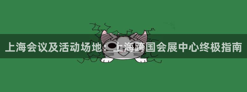 果博公司开户：上海会议及活动场地：上海跨国会展中心终极指南
