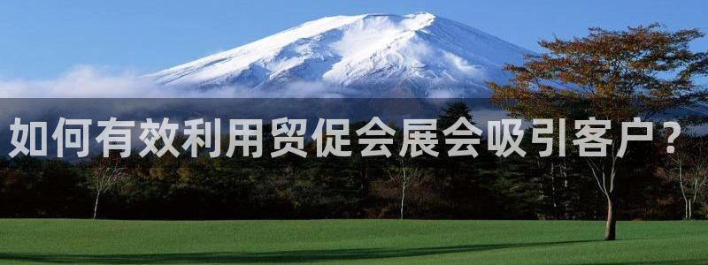 果博代理电话多少号码：如何有效利用贸促会
