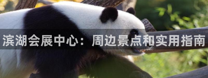 果博平台真实吗安全吗可信吗是真的吗：滨湖会展中心：周边景点和实用指南