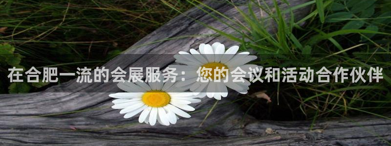 果博官网客服电话号码查询：在合肥一流的会展服务：您的会议和活动合作伙伴