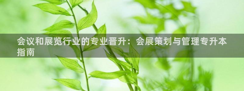 果博平台真实吗知乎怎么样：会议和展览行业的专业晋升：会展策划与管理专升本
指南