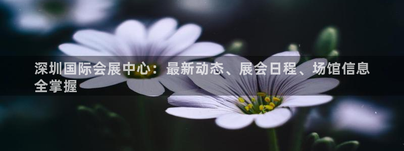 果博平台赖不赖：深圳国际会展中心：最新动态、展会日程、场馆信息
全掌握