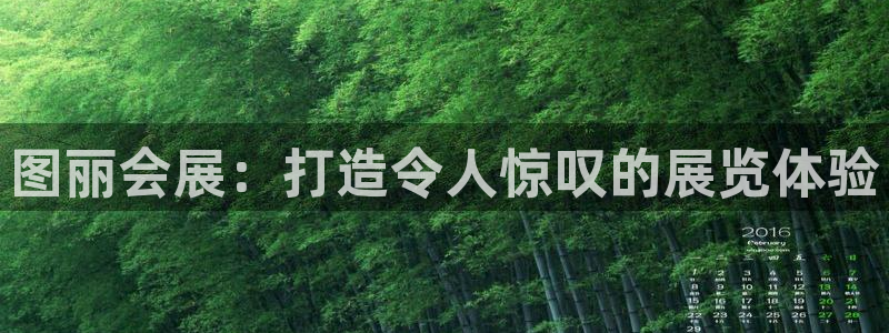 果博平台真实吗：图丽会展：打造令人惊叹的展览体验
