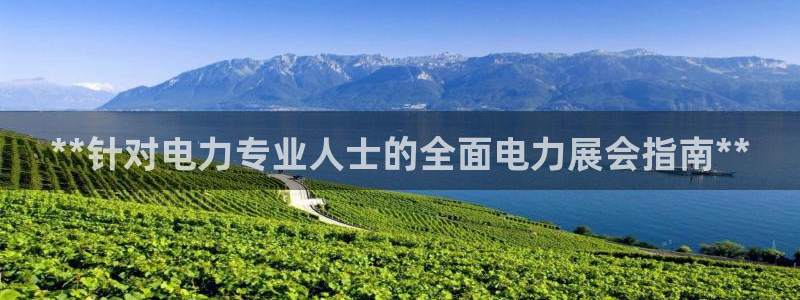 果博代理：**针对电力专业人士的全面电力展会指南**