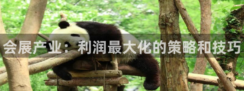 果博app官网下载：会展产业：利润最大化