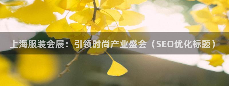 果博代理网：上海服装会展：引领时尚产业盛会（SEO优化标题）