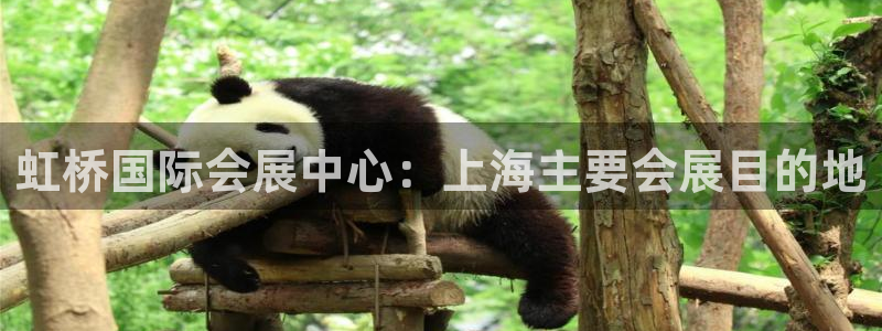 果博旗舰厅：虹桥国际会展中心：上海主要会展目的地