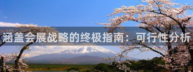 果博平台真实吗安全吗可信吗安全吗：涵盖会展战略的终极指南：可行性分析