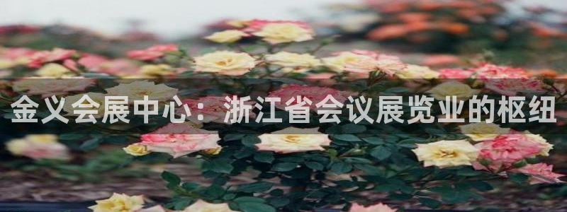 果博上分电话：金义会展中心：浙江省会议展览业的枢纽