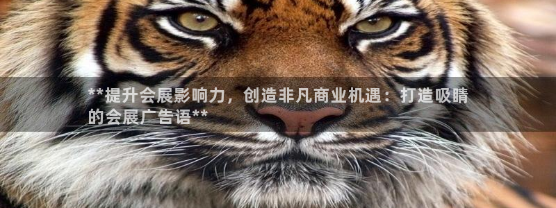 下载果博app：**提升会展影响力，创造非凡商业机遇：打造吸睛
的会展广告语**