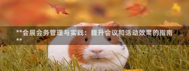 果博公司：**会展会务管理与实践：提升会议和活动效果的指南
**
