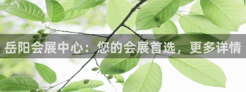 果博旗舰厅：岳阳会展中心：您的会展首选，更多详情