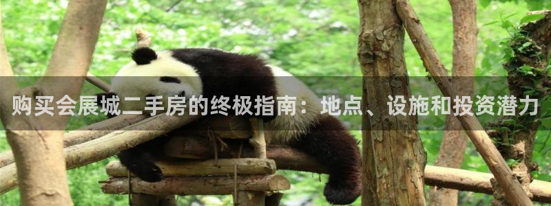 果博代理网：购买会展城二手房的终极指南：地点、设施和投资潜力