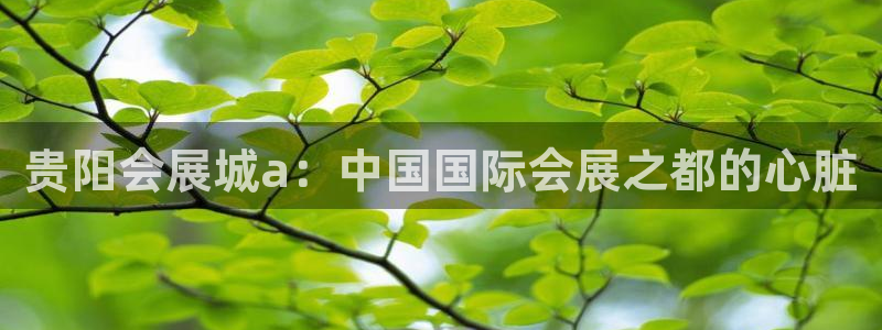 手机怎样下载果博：贵阳会展城a：中国国际会展之都的心脏
