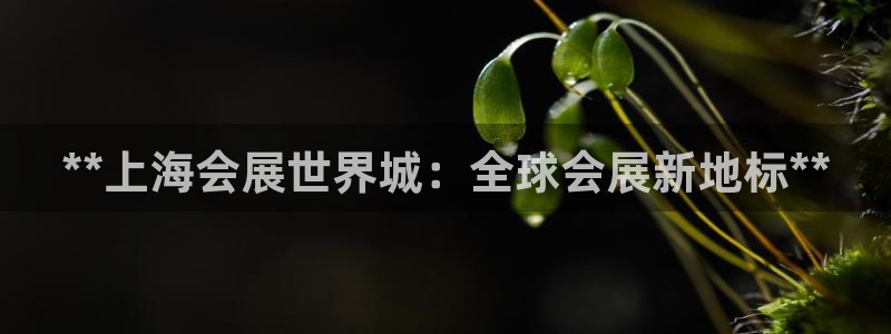 果博平台真实吗：**上海会展世界城：全球会展新地标**