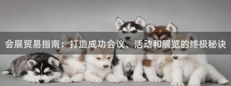 果博环保官网：会展贸易指南：打造成功会议