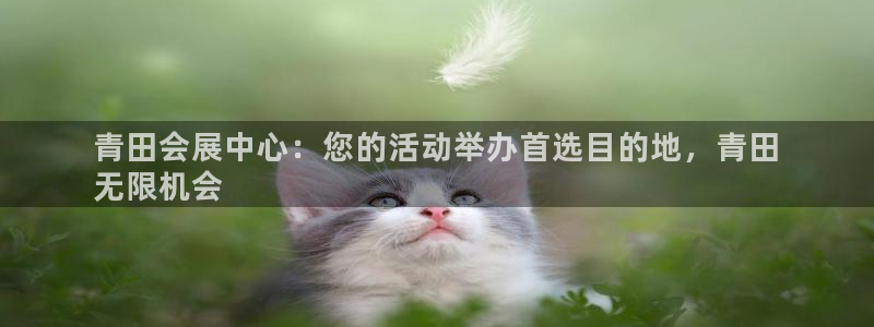 果博公司直属会员开户：青田会展中心：您的活动举办首选目的地，青田
无限机会