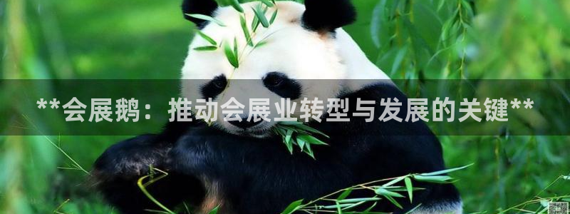 果博公司客服微信公众号：**会展鹅：推动会展业转型与发展的关键**