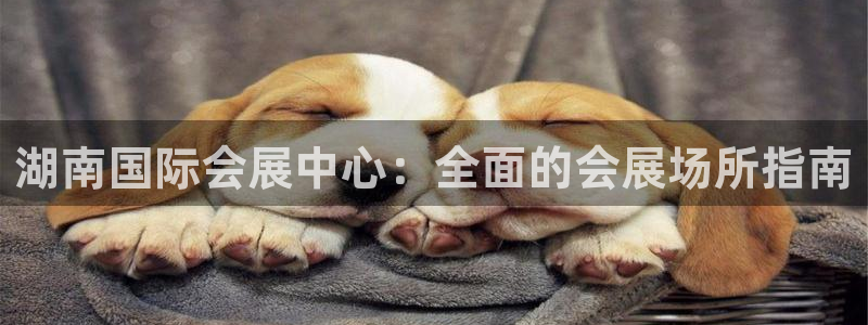 果博手机下载网址：湖南国际会展中心：全面的会展场所指南