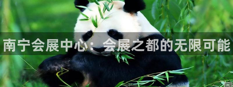 果博官方：南宁会展中心：会展之都的无限可能