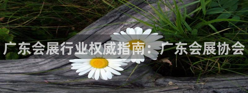 果博平台真实吗安全吗可信吗可靠吗：广东会展行业权威指南：广东会展协会