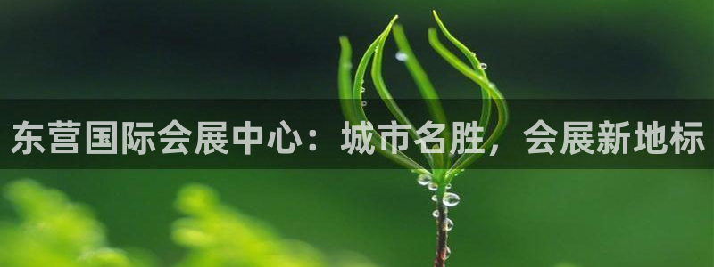 果博官网：东营国际会展中心：城市名胜，会