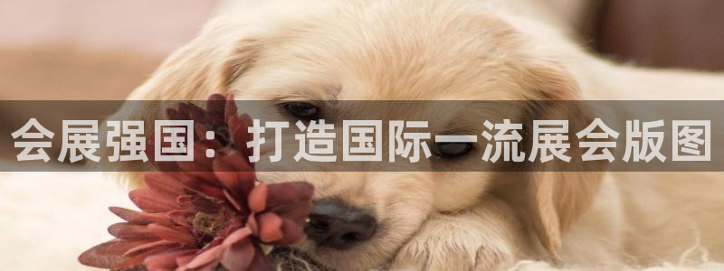 果博注册平台：会展强国：打造国际一流展会版图