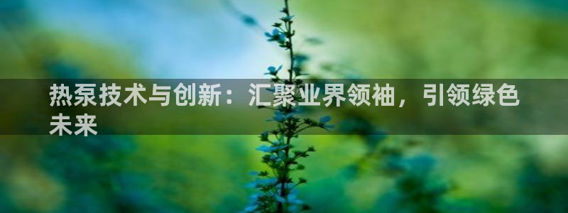 果博平台开户电话：热泵技术与创新：汇聚业界领袖，引领绿色
未来