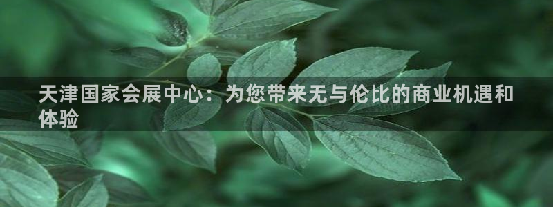 苹果电脑怎么下载博弈大师等软件：天津国家会展中心：为您带来无与伦比的商业机遇和
体验