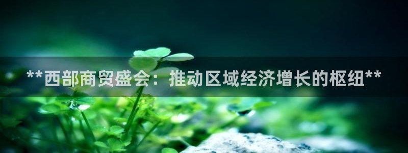 果博服务电话：**西部商贸盛会：推动区域经济增长的枢纽**