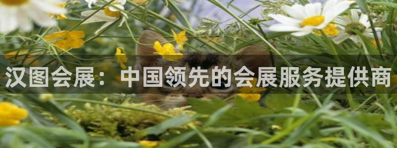 果博公司开户注册：汉图会展：中国领先的会展服务提供商