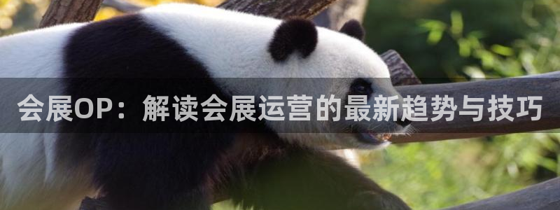 果博平台真实吗：会展OP：解读会展运营的