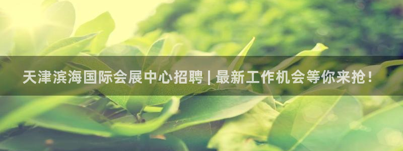 果博平台真实吗知乎：天津滨海国际会展中心招聘 | 最新工作机会等你来抢！