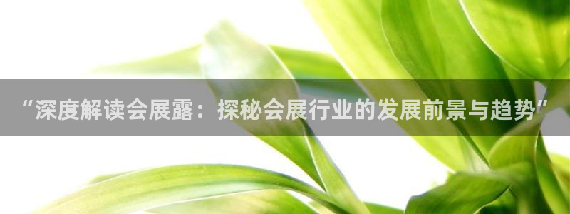 果博平台真实吗安全吗是真的吗：“深度解读会展露：探秘会展行业的发展前景与趋势”