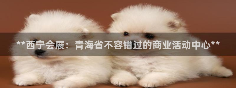 果博注册平台怎么注册不了：**西宁会展：青海省不容错过的商业活动中心**