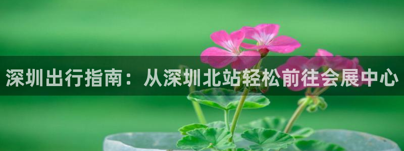 果博官网客服电话号码是多少：深圳出行指南：从深圳北站轻松前往会展中心