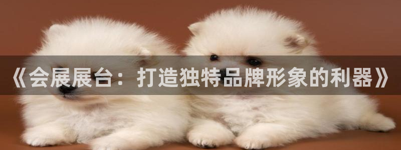 果博注册客服电话是多少号：《会展展台：打造独特品牌形象的利器》