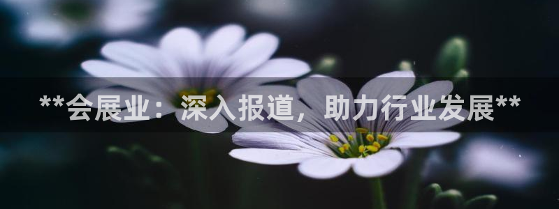 果博平台开户电话是多少：**会展业：深入报道，助力行业发展**